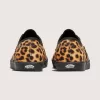 Auténtico zapato Lowpro