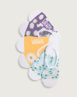 Calcetines Canoodle estampados (paquete de 3)