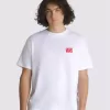 Camiseta de la rana guardiana