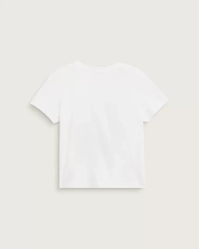 Camiseta escénica