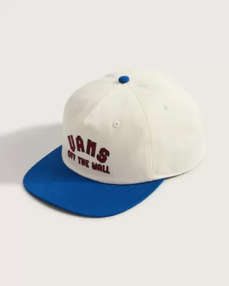 Gorra baja Vans Design Co.