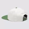 Gorra baja Vans Design Co.