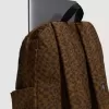 Mochila clásica Old Skool