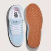 Skate Cab 4 Shoe
