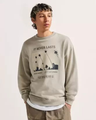 Sudadera con capucha y foto Neverlasting