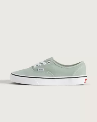 Zapato auténtico