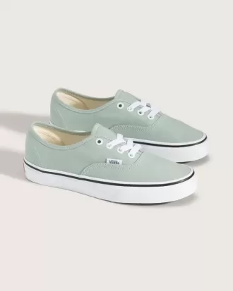Zapato auténtico