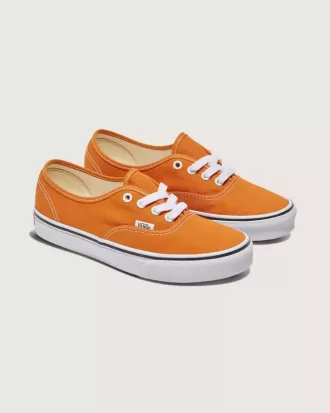 Zapato auténtico