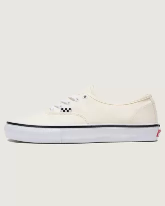 Zapato auténtico de Customs Skate