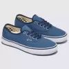 Zapato auténtico de Customs Skate