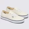 Zapato auténtico de Customs Skate