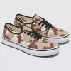 Zapato auténtico de Customs Skate