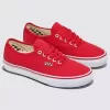 Zapato auténtico de Customs Skate