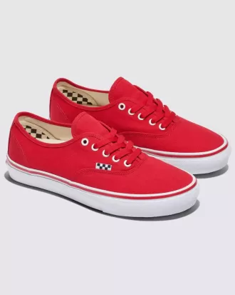 Zapato auténtico de Customs Skate