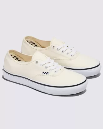 Zapato auténtico de Customs Skate