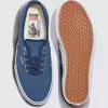 Zapato auténtico de Customs Skate
