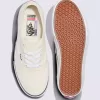 Zapato auténtico de Customs Skate
