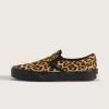 Zapato clásico sin cordones