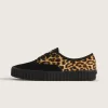 Zapato Creeper Auténtico