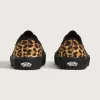 Zapato Creeper Auténtico