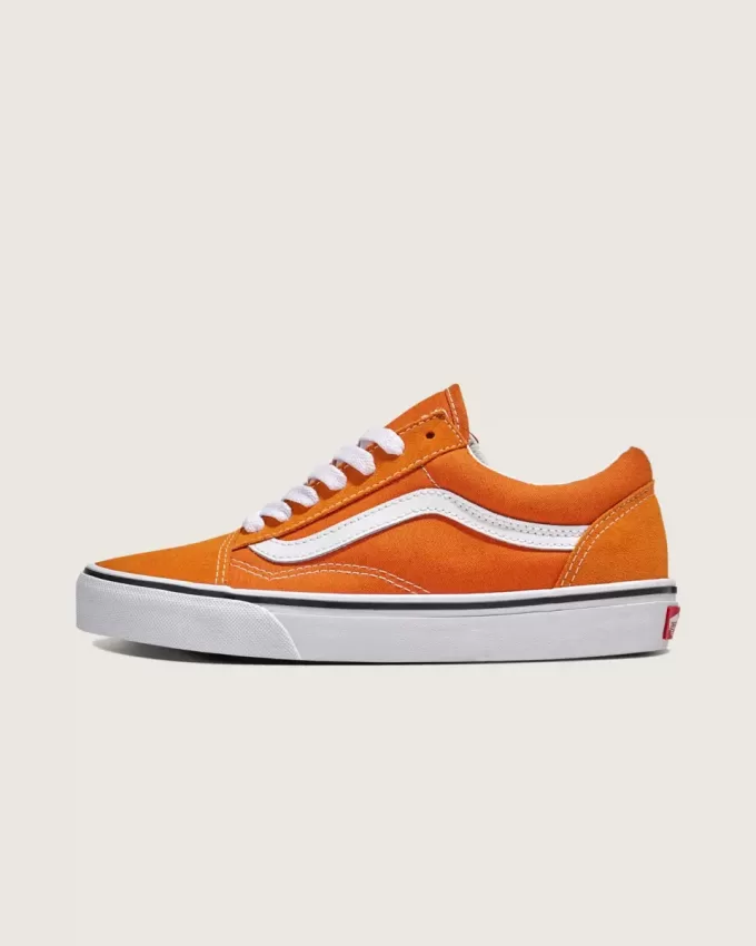 Zapato Old Skool