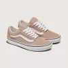 Zapato Old Skool