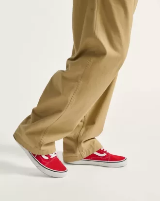 Zapato Old Skool