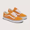 Zapato Old Skool