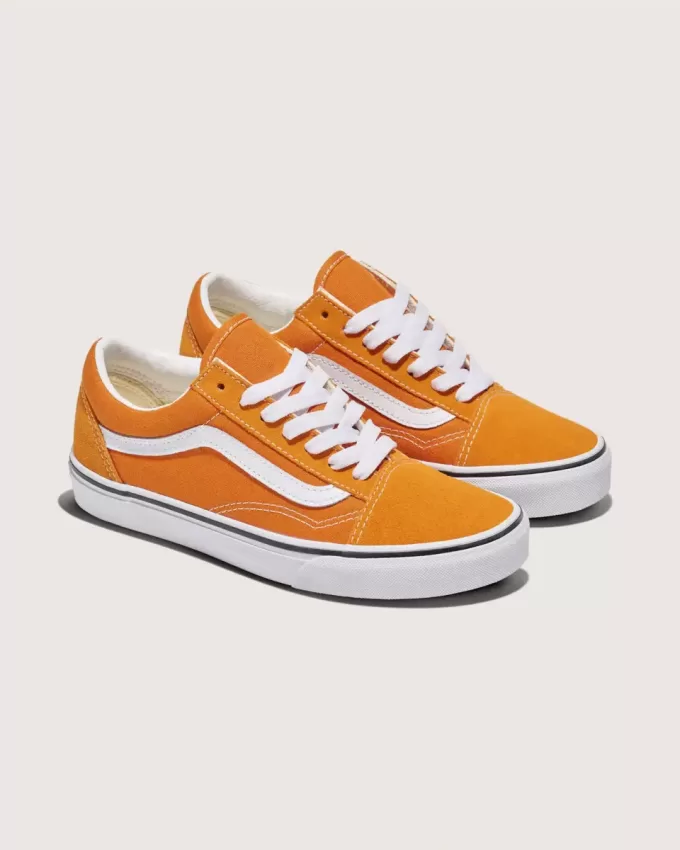 Zapato Old Skool