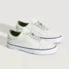 Zapato Old Skool