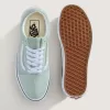 Zapato Old Skool